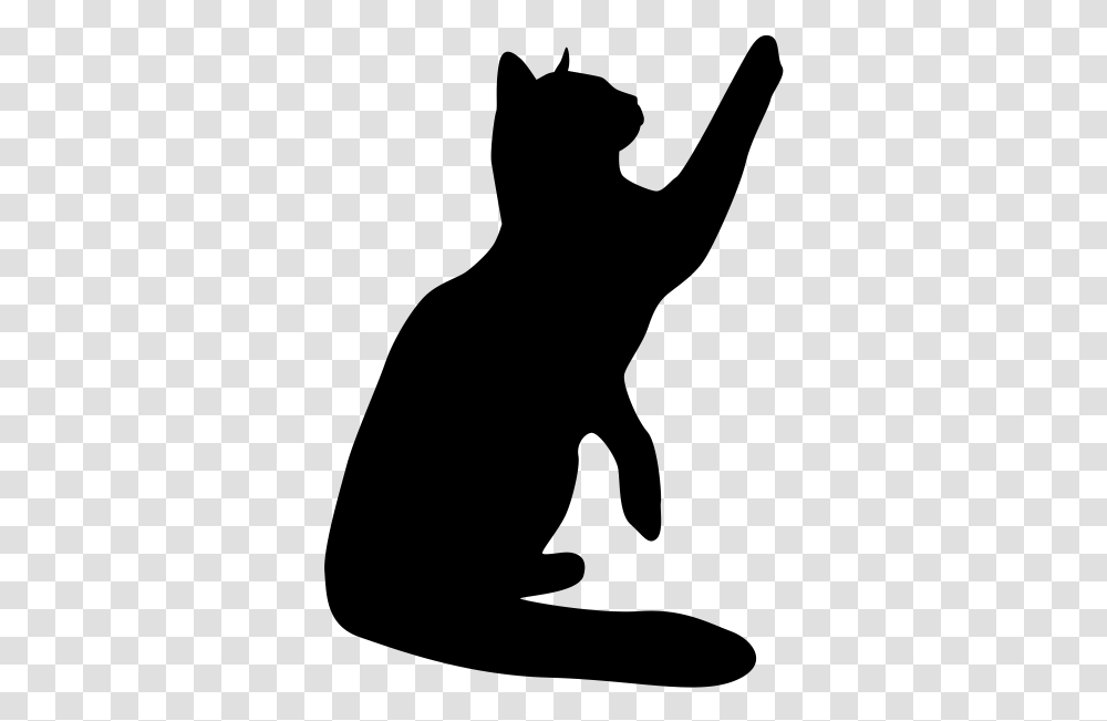 Cat Sticker Wall Decal Background Decal, Gray, World Of Warcraft Transparent Png