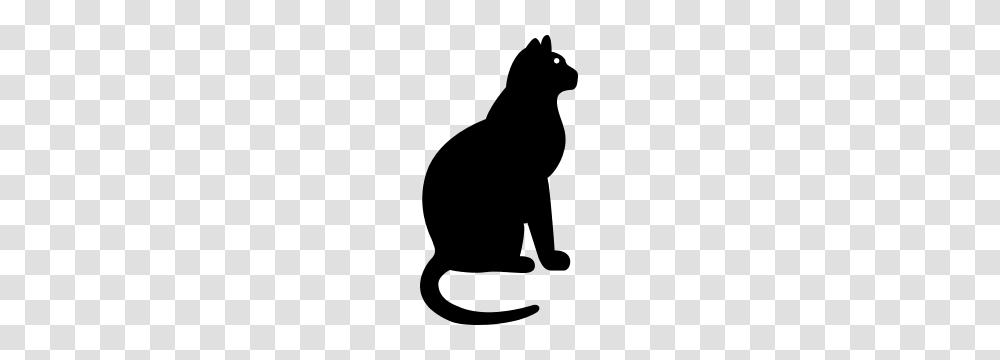 Cat Stickers Decals Of Designs For Your Car Window Or Wall, Silhouette, Pet, Animal, Mammal Transparent Png