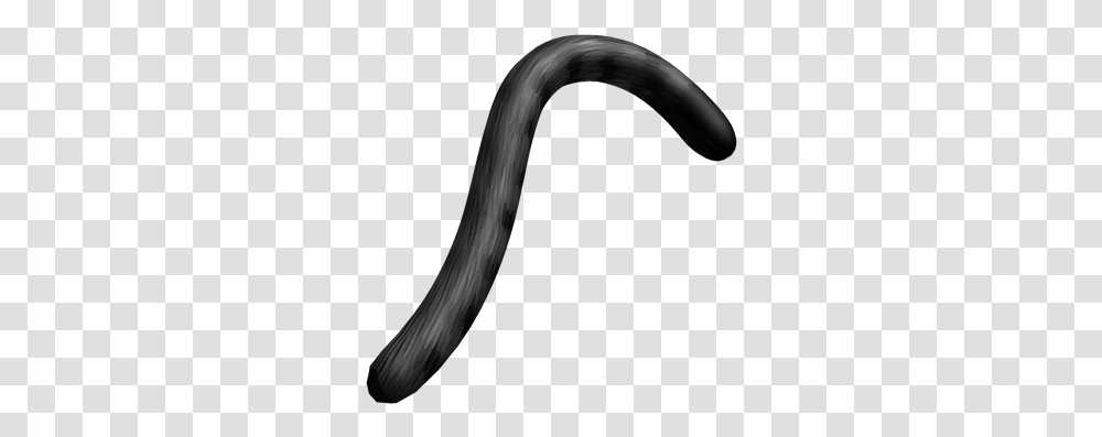 Cat Tail Image Cat Tail Roblox, Hose, Bird, Animal, Stick Transparent Png