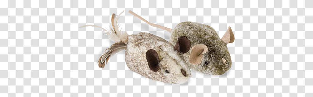 Cat Toy, Animal, Mammal, Rodent, Chinchilla Transparent Png