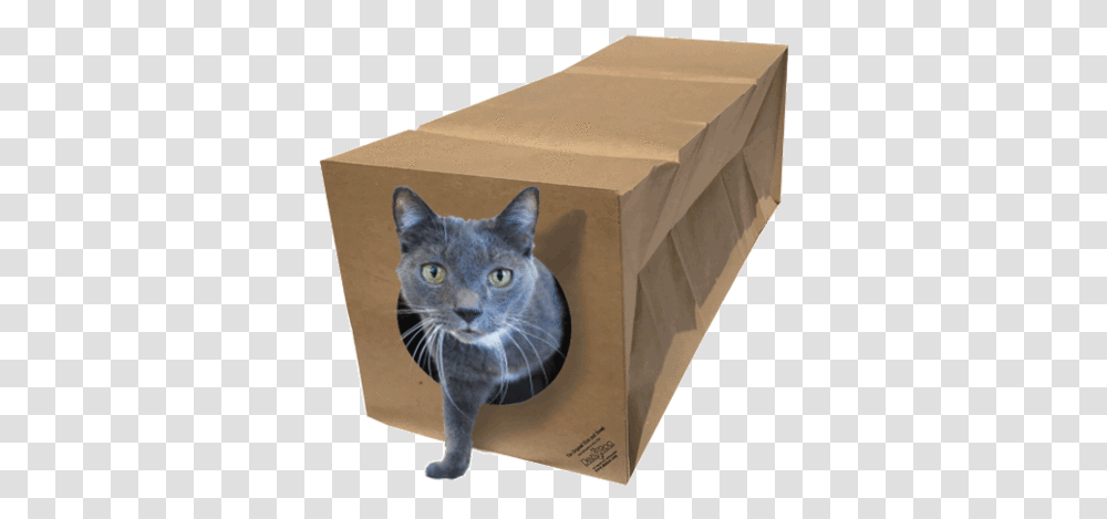 Cat Toy, Box, Cardboard, Pet, Mammal Transparent Png