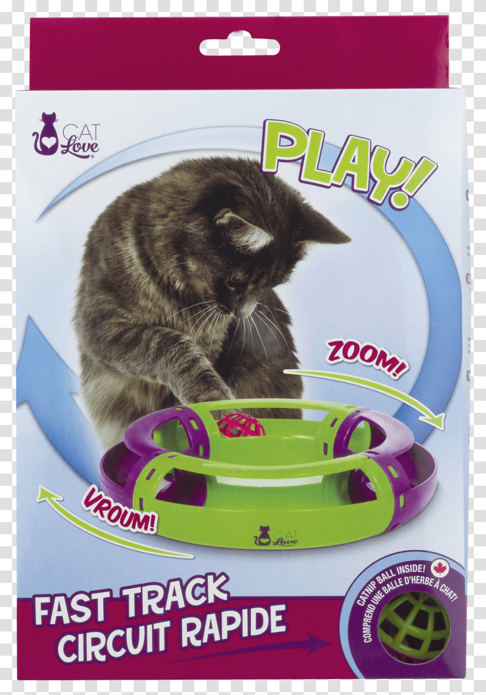 Cat Toy, Pet, Mammal, Animal, Frisbee Transparent Png