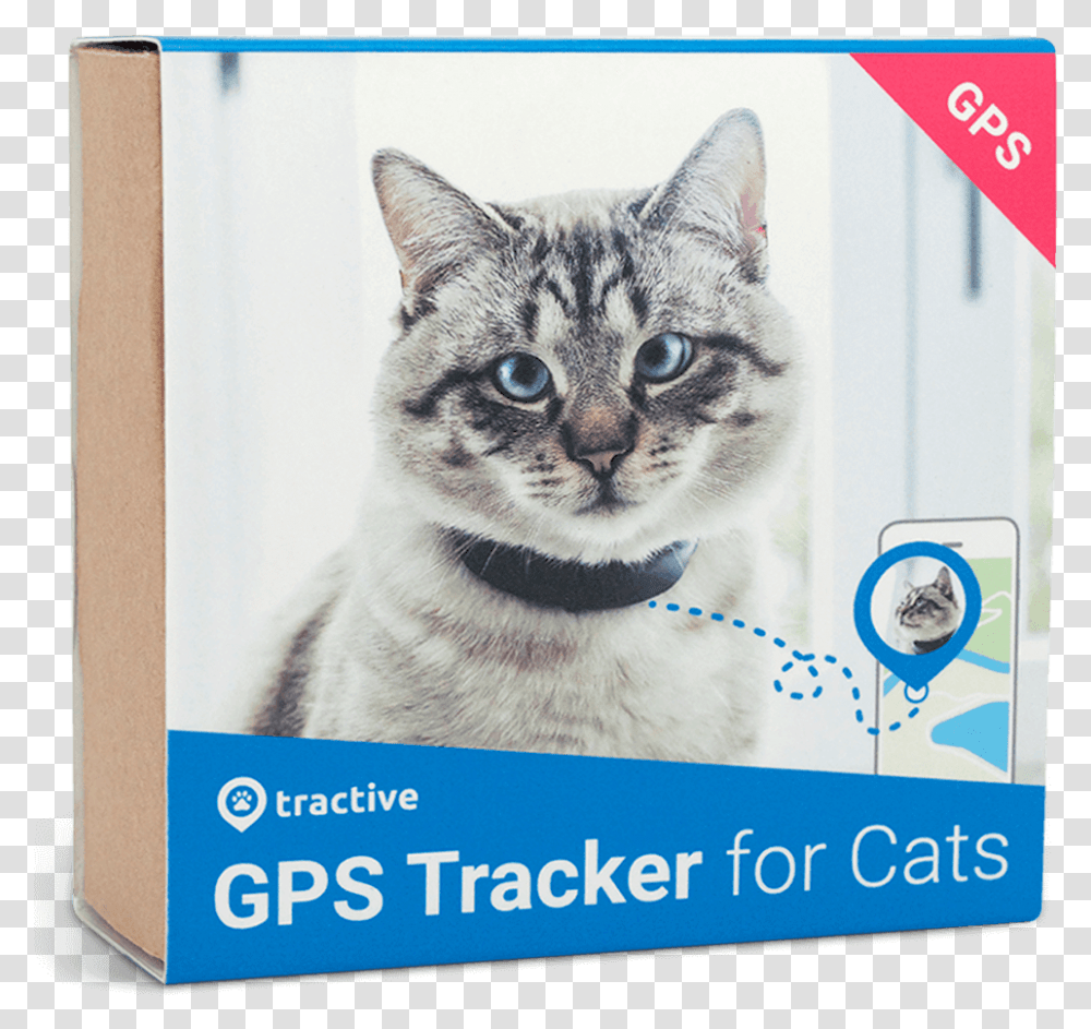 Cat Tracker, Pet, Mammal, Animal, Advertisement Transparent Png