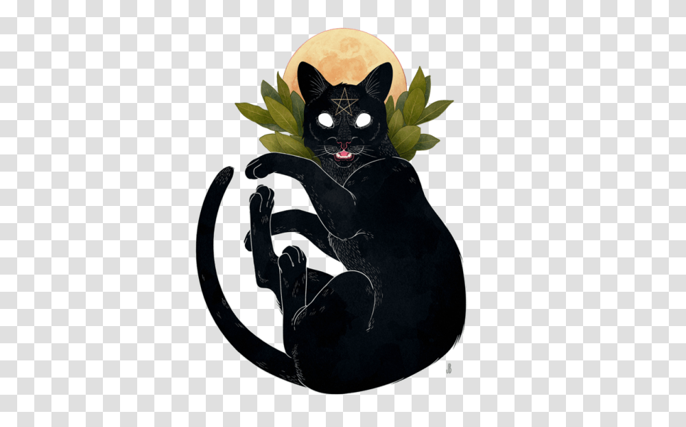 Cat Tumblr, Mammal, Animal, Panther, Wildlife Transparent Png