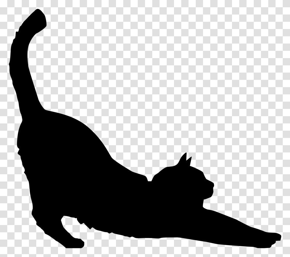 Cat Vector Cat Stretching Silhouette, Gray, World Of Warcraft Transparent Png