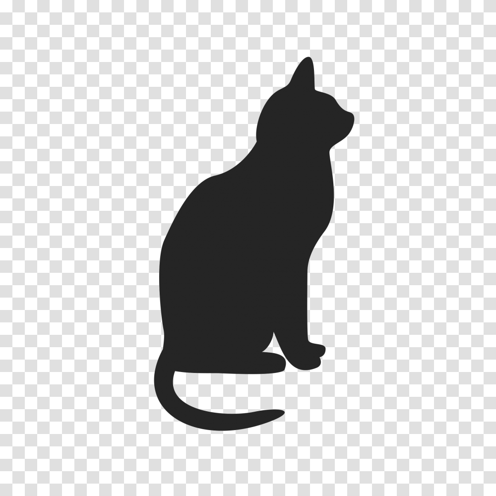 Cat Vector Clipart Cat Icon Download, Silhouette, Pet, Mammal, Animal Transparent Png