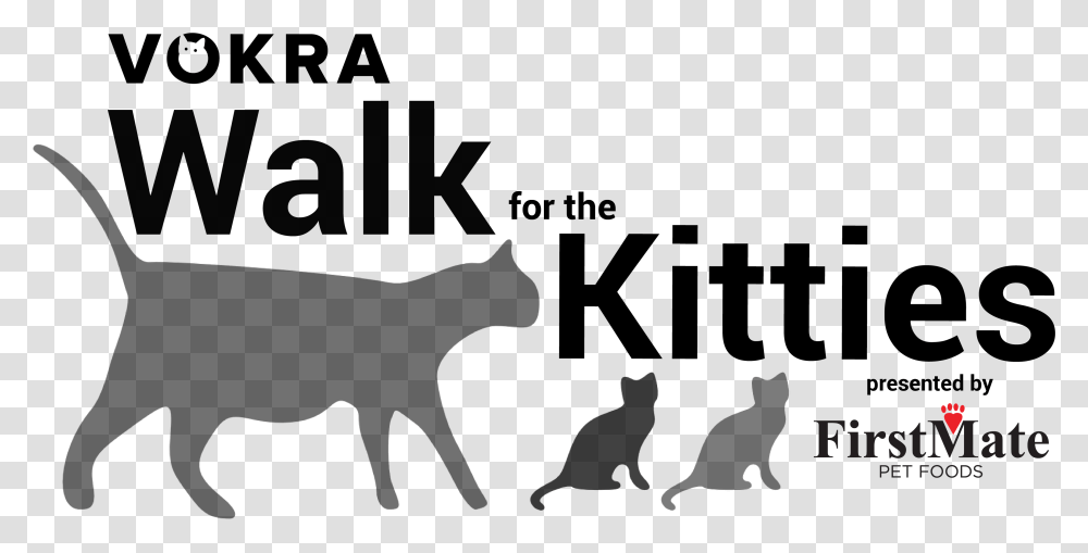 Cat Walking Black Cat, Silhouette, Outdoors, Horse, Mammal Transparent Png