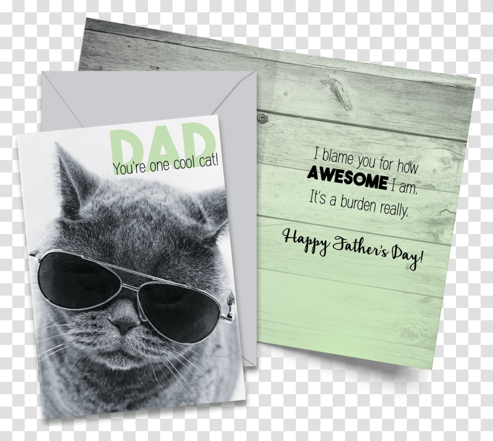 Cat Wearing Aviator Glasses, Sunglasses, Accessories, Accessory, Poster Transparent Png