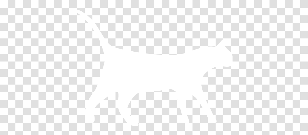 Cat White Tail Cat Icon White, Label, Text, Mammal, Animal Transparent Png