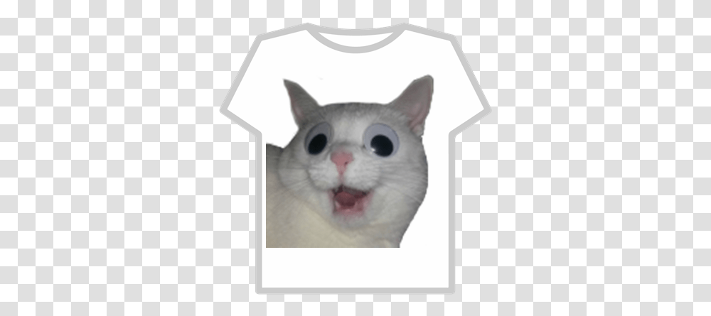 Cat With Googly Eyes Roblox T Shirt Para Roblox Bts, Pet, Mammal, Animal, Clothing Transparent Png