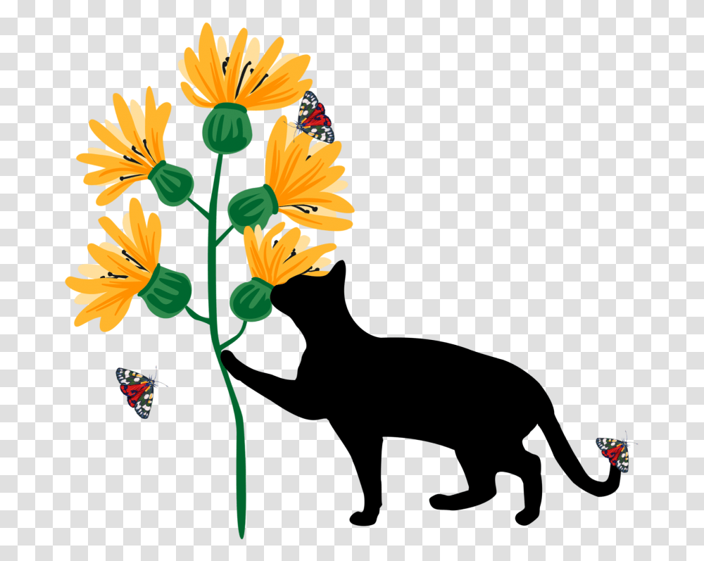 Cat With Sunflowers And Butterflies Nature Couple Silhouette With Cat, Plant, Blossom, Daisy, Daisies Transparent Png