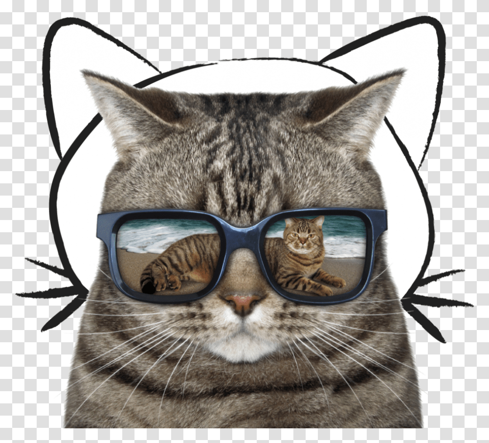 Cat With Sunglasses Royalty Free, Accessories, Pet, Mammal, Animal Transparent Png