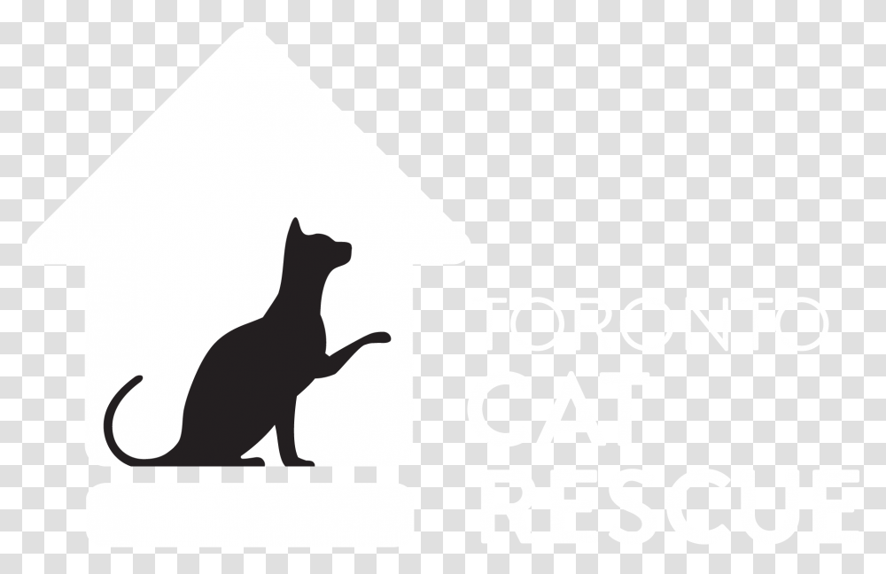 Cat Yawns, Animal, Mammal, Dog, Pet Transparent Png