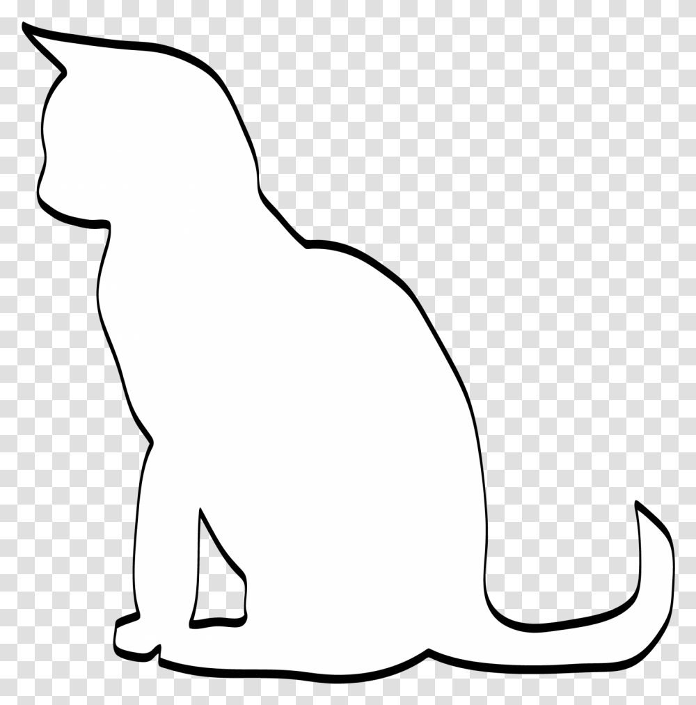 Cat Yawns, Animal, Mammal, Person, Human Transparent Png