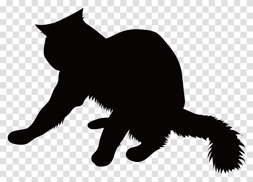 Cat Yawns, Mammal, Animal, Silhouette, Person Transparent Png