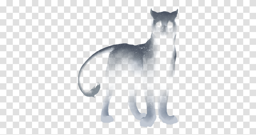 Cat Yawns, Mammal, Animal, Wolf, Snowman Transparent Png