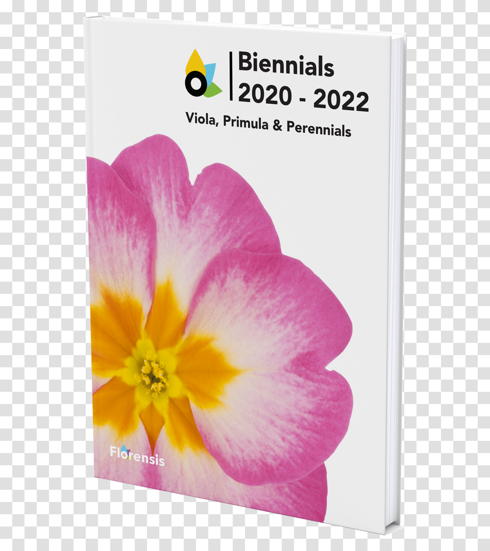 Catalogue Primrose, Plant, Geranium, Flower, Blossom Transparent Png