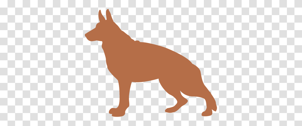 Catch The Kibble Game, Mammal, Animal, Canine, Wildlife Transparent Png
