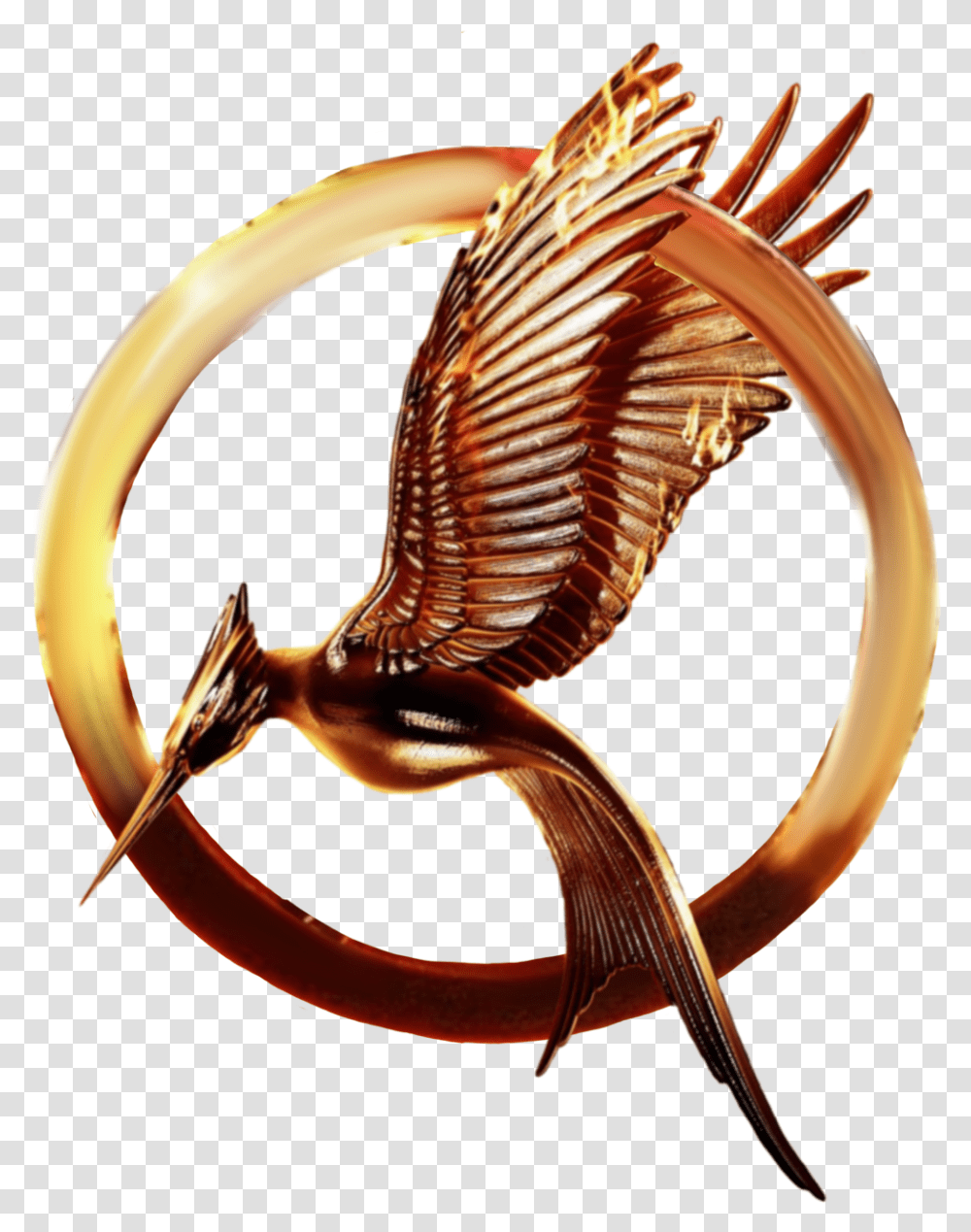 Catching Fire Mockingjay The Hunger Hunger Games Catching Fire Pin, Bird, Animal, Skeleton, Antler Transparent Png