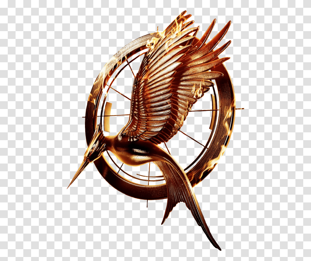 Catching Hunger Games Mocking Jay Logo, Bronze, Pattern, Helmet, Animal Transparent Png