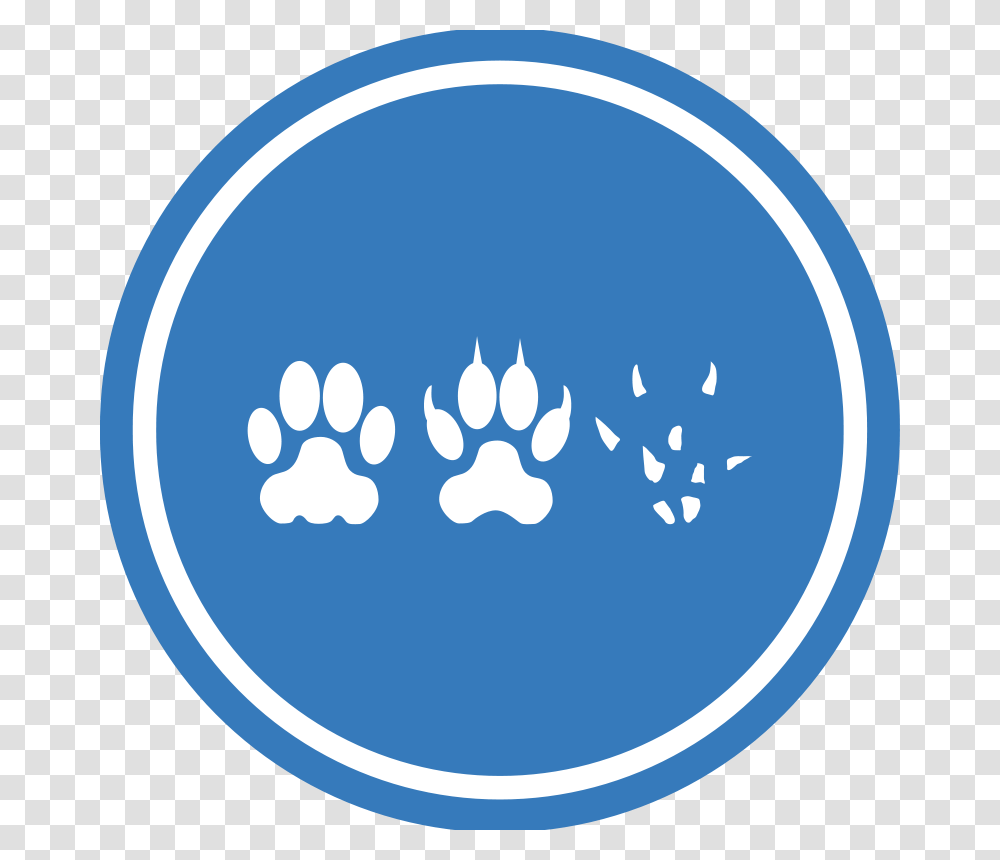 CatDotMouseUnificationPeace, Animals, Hand, Moon, Outer Space Transparent Png