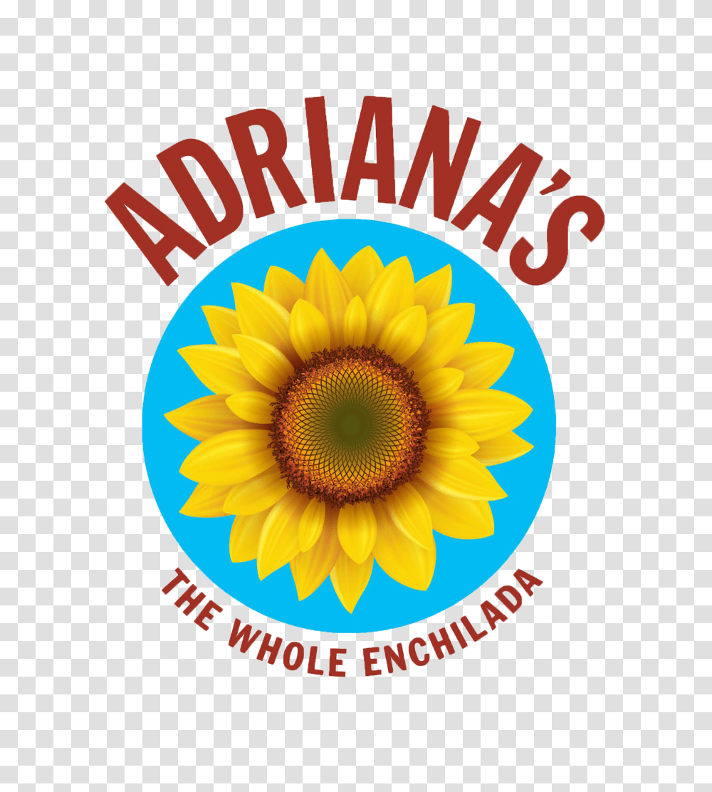Catering Adrianas The Whole Enchilada, Plant, Sunflower, Blossom, Flyer Transparent Png