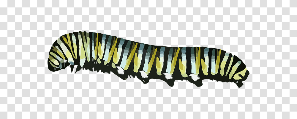 Caterpillar Nature, Label, Animal Transparent Png