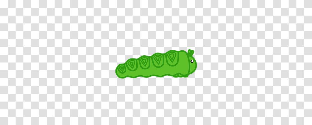 Caterpillar Nature, Animal, Invertebrate, Hot Dog Transparent Png