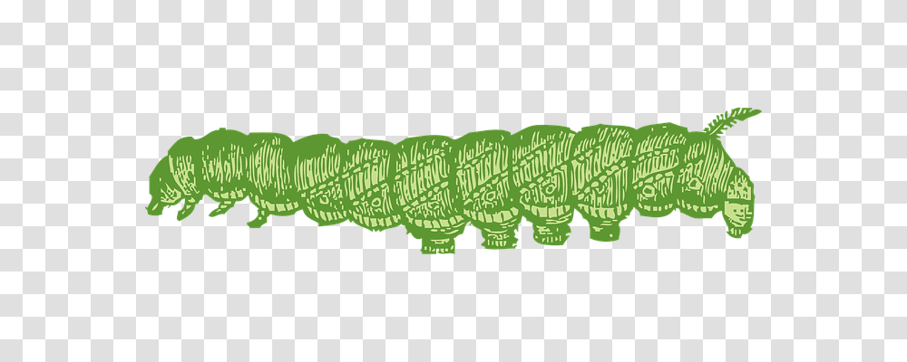 Caterpillar Animals, Dinosaur, Reptile, Green Transparent Png