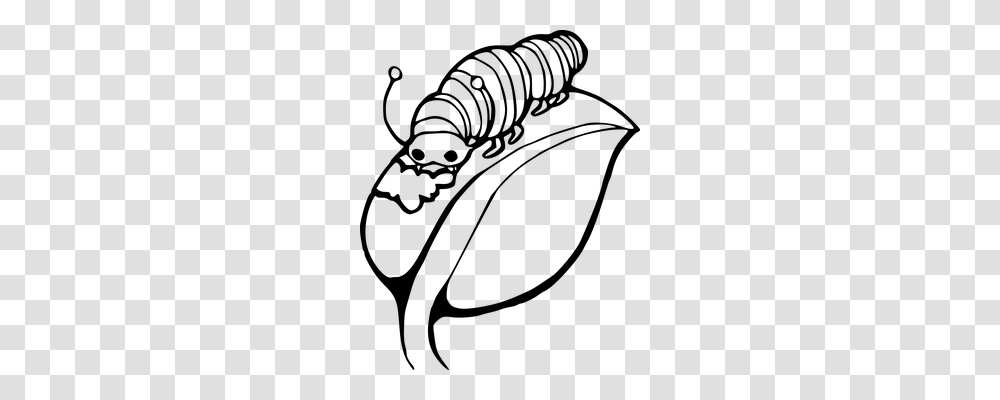 Caterpillar Animals, Gray, World Of Warcraft Transparent Png