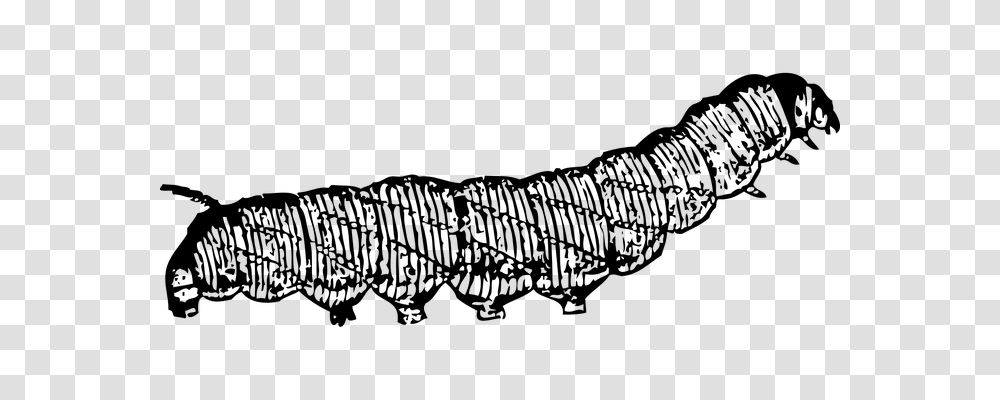 Caterpillar Animals, Gray, World Of Warcraft Transparent Png