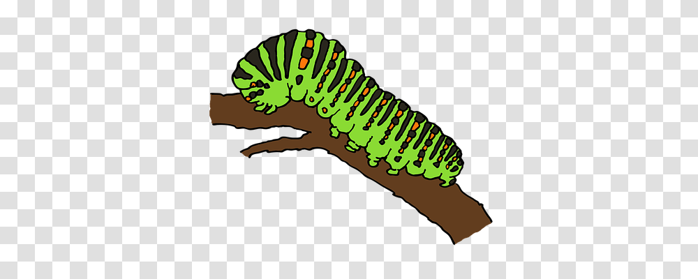 Caterpillar Nature, Worm, Invertebrate, Animal Transparent Png