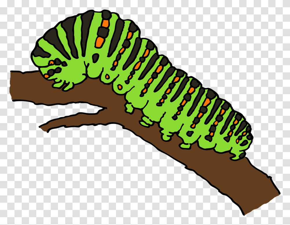 Caterpillar Caterpillar Clipart, Apparel, Animal Transparent Png