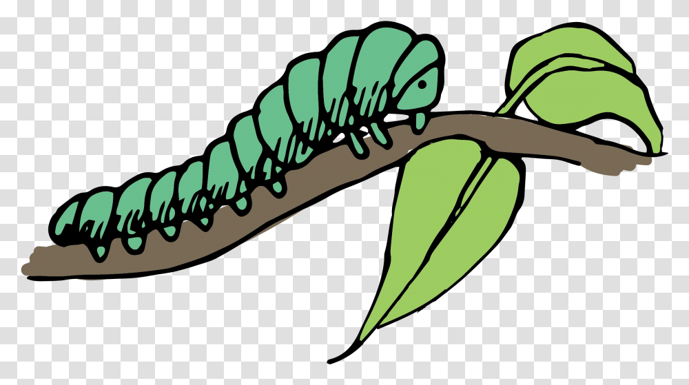 Caterpillar Clip Art Caterpillars Clipart, Plant, Food, Animal, Invertebrate Transparent Png