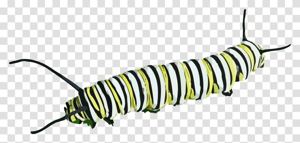 Caterpillar Clipart, Animal, Invertebrate, Worm, Insect Transparent Png