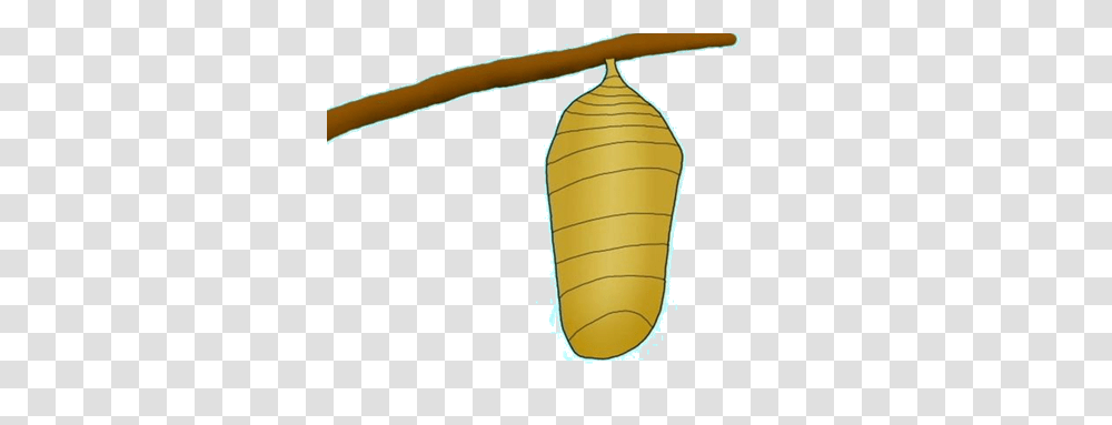 Caterpillar Clipart Cocoon, Plant, Bow, Tree, Animal Transparent Png