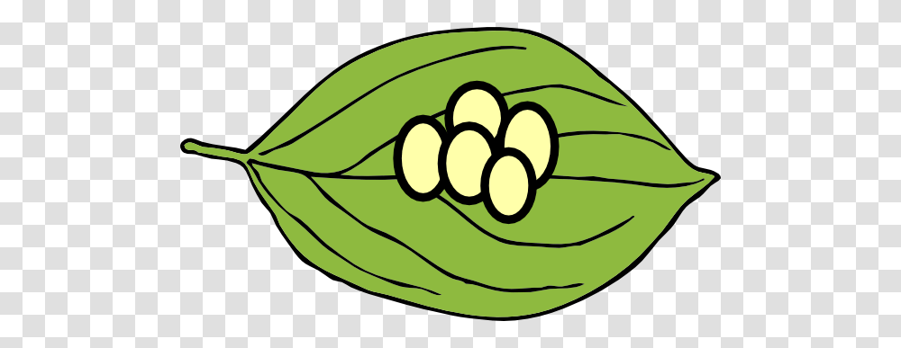 Caterpillar Clipart Flower, Plant, Vegetable, Food, Produce Transparent Png
