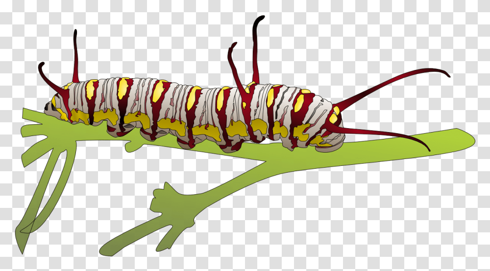 Caterpillar Images Higad Clip Art, Invertebrate, Animal, Worm, Insect Transparent Png