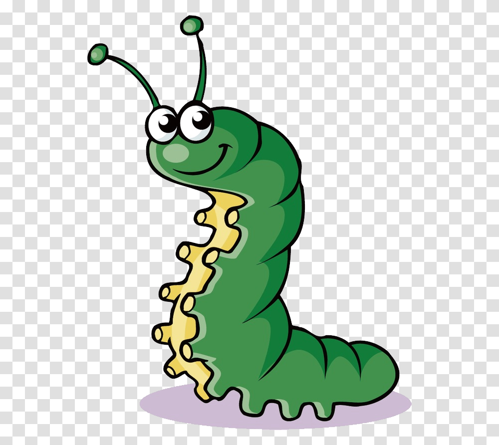 Caterpillar, Insect, Animal, Invertebrate, Mammal Transparent Png