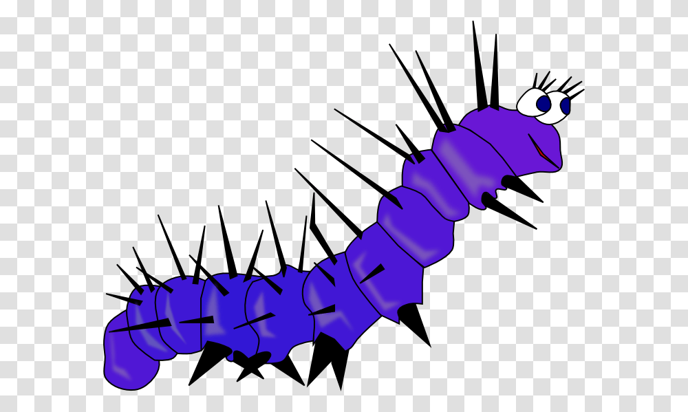 Caterpillar, Insect, Animal, Worm, Invertebrate Transparent Png