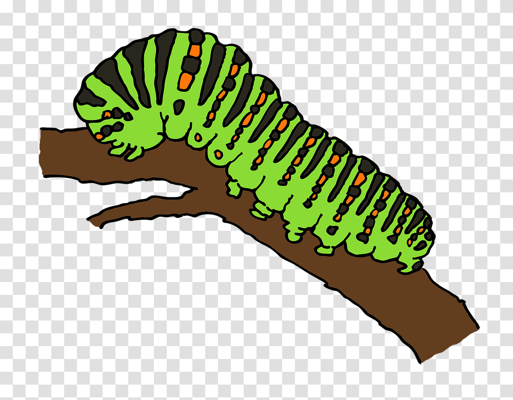 Caterpillar, Insect, Dinosaur, Reptile, Animal Transparent Png