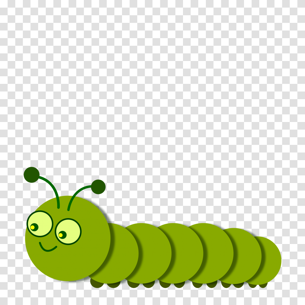 Caterpillar, Insect, Green, Animal, Invertebrate Transparent Png