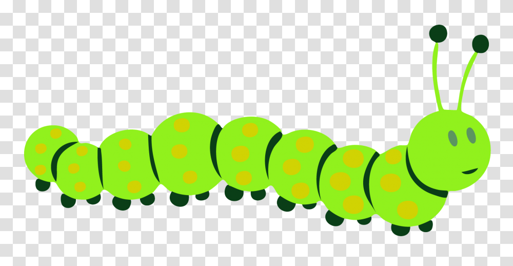 Caterpillar, Insect, Green, Plant Transparent Png