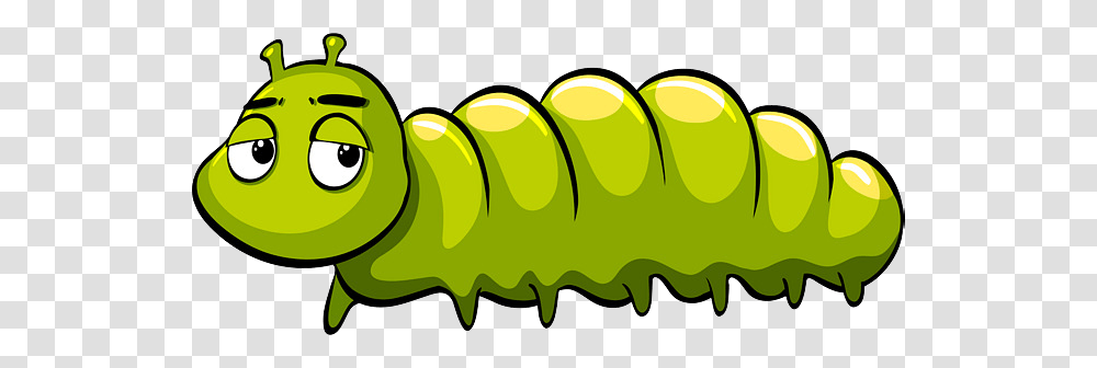 Caterpillar, Insect, Hand, Green, Plant Transparent Png