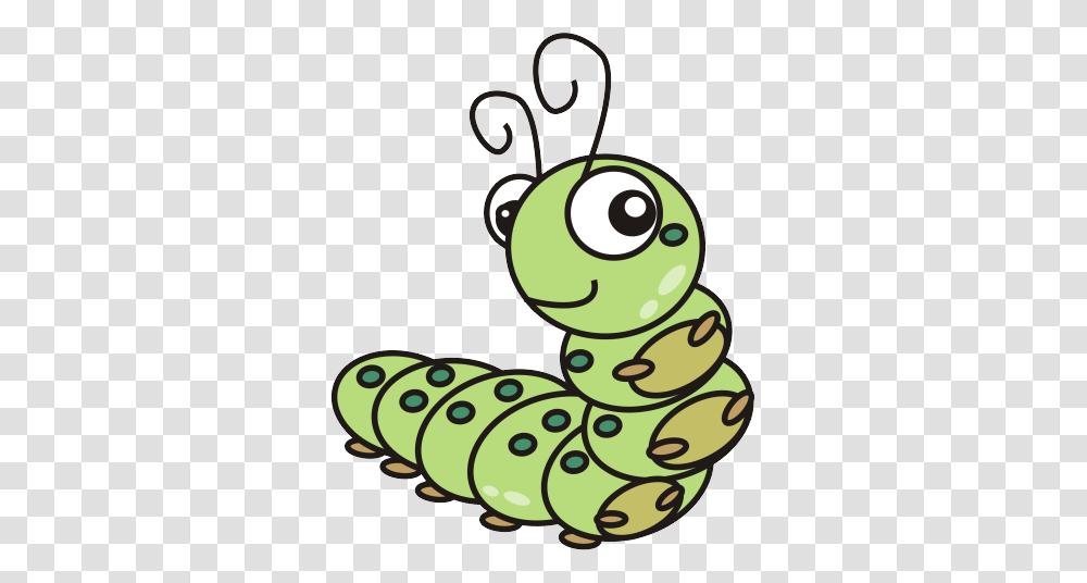 Caterpillar, Insect, Invertebrate, Animal, Photography Transparent Png
