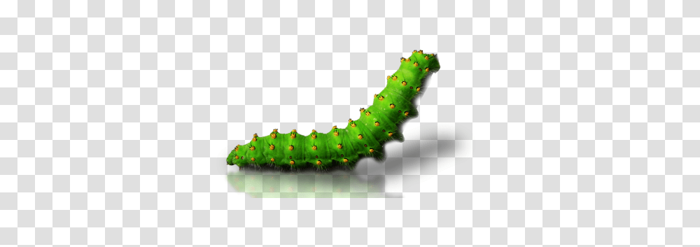 Caterpillar, Insect, Invertebrate, Animal, Worm Transparent Png