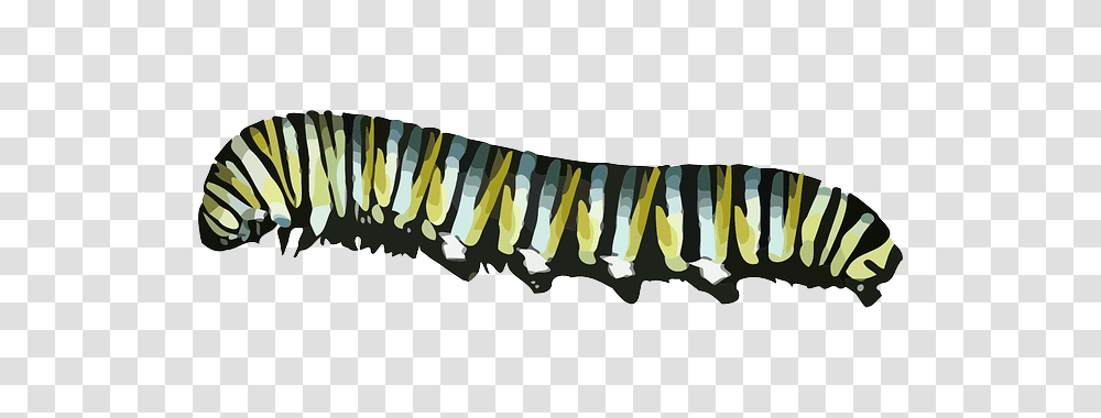 Caterpillar, Insect, Label, Sticker Transparent Png