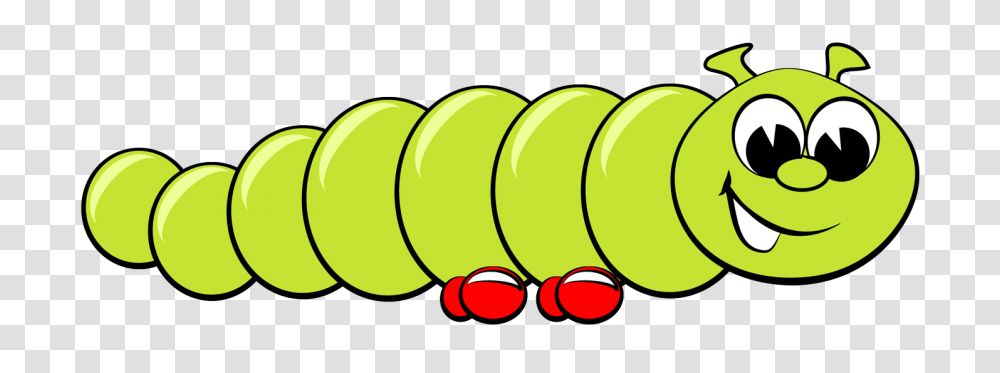 Caterpillar, Insect, Plant, Sliced, Fruit Transparent Png
