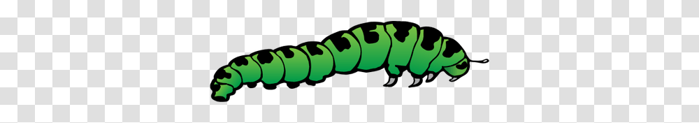 Caterpillar, Insect, Teeth, Mouth Transparent Png