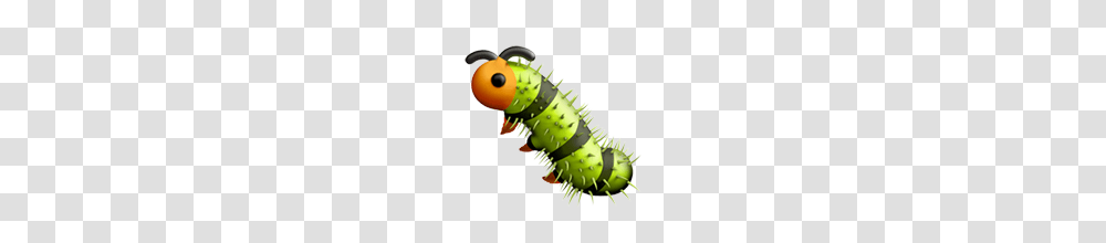 Caterpillar, Insect, Toy, Invertebrate, Animal Transparent Png